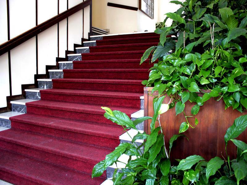 פאדובה Casa Camilla City מראה חיצוני תמונה