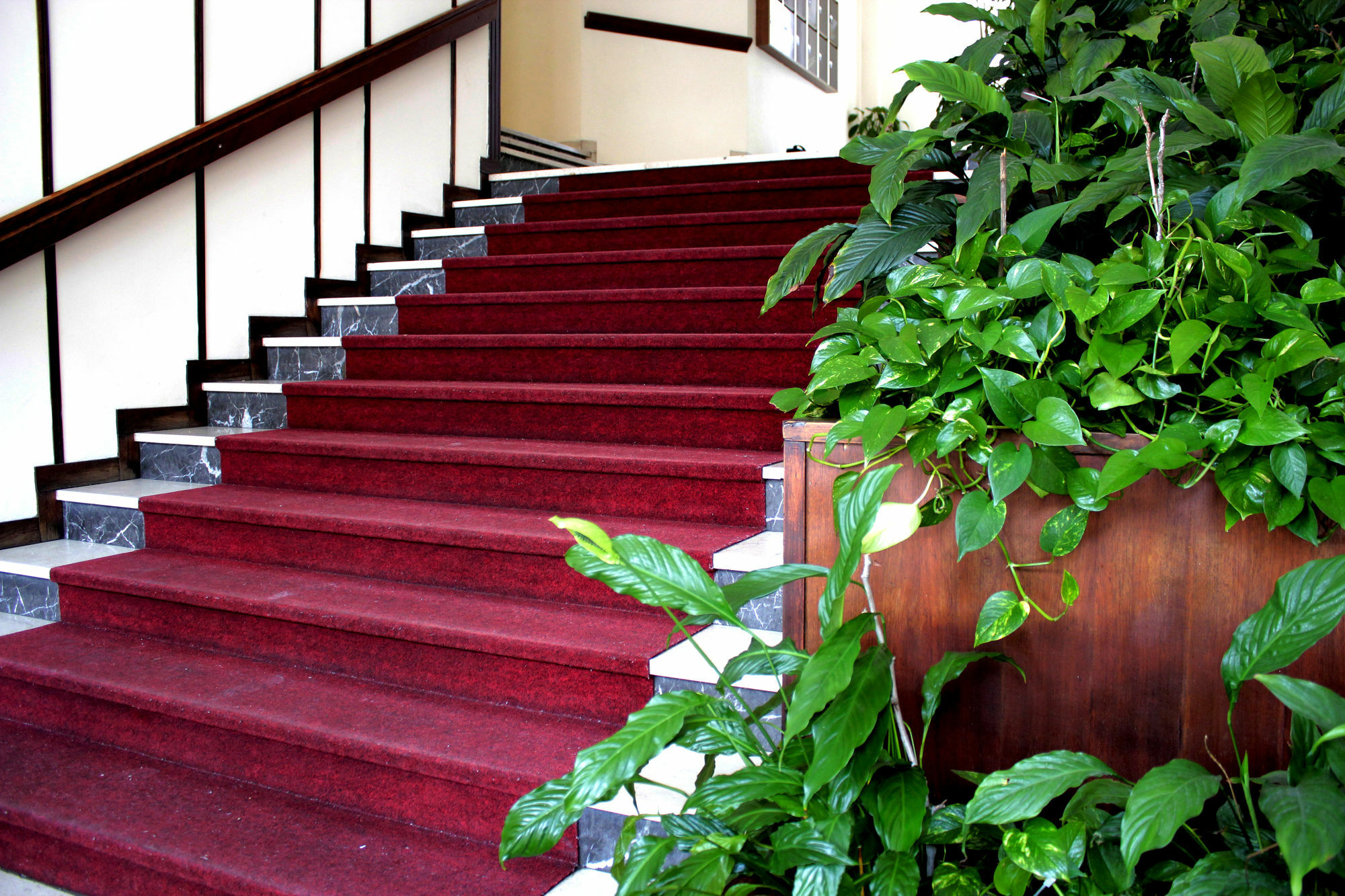 פאדובה Casa Camilla City מראה חיצוני תמונה